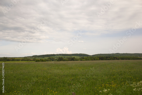 Landscape of a large green field