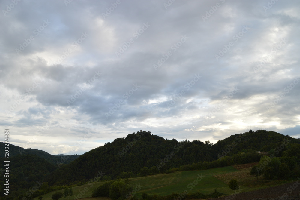 fiori e neve , paesaggi e nuvole 