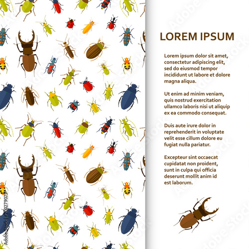 Flat poster or banner template with bugs. Vector illustration.