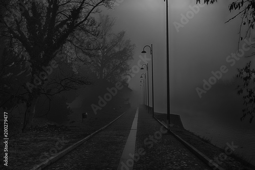 Mystical Walk path with fog silhouette of trees, misty walkside,