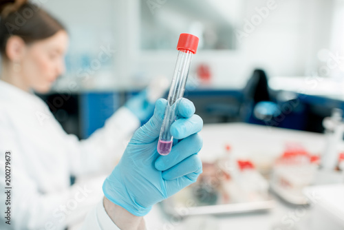 Holding test tube with pink liquid in the laboratory