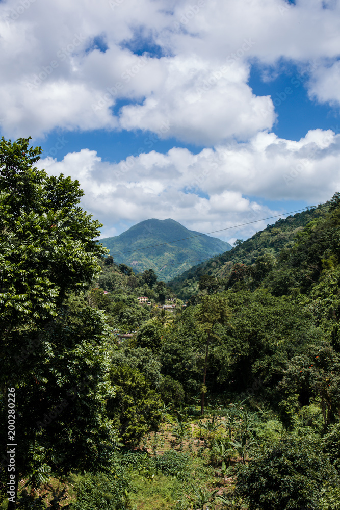 Blue mountains in der Karibik auf Jamaika
