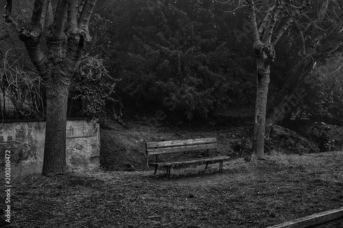 Tableau sur toile Alone benche in the foggy towpath, no people, lonely mood