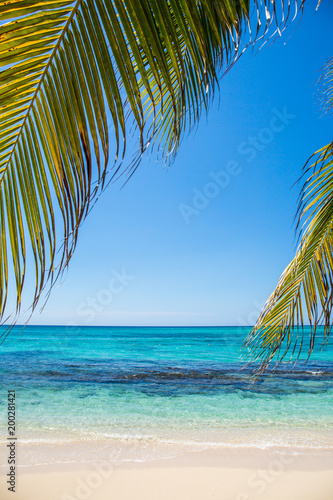 Fototapeta Naklejka Na Ścianę i Meble -      Strand in der Karibik auf Jamaika
