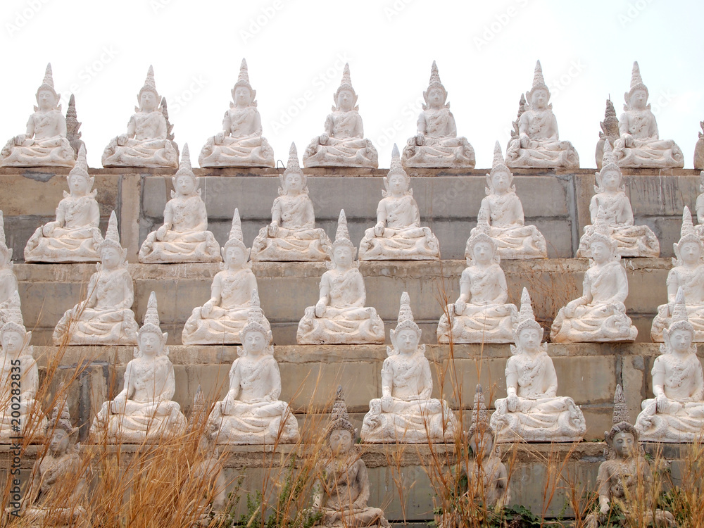 Sakeaw ,Thailand  - March 29 , 2015 : Row of White Buddha statue on the field for worship.