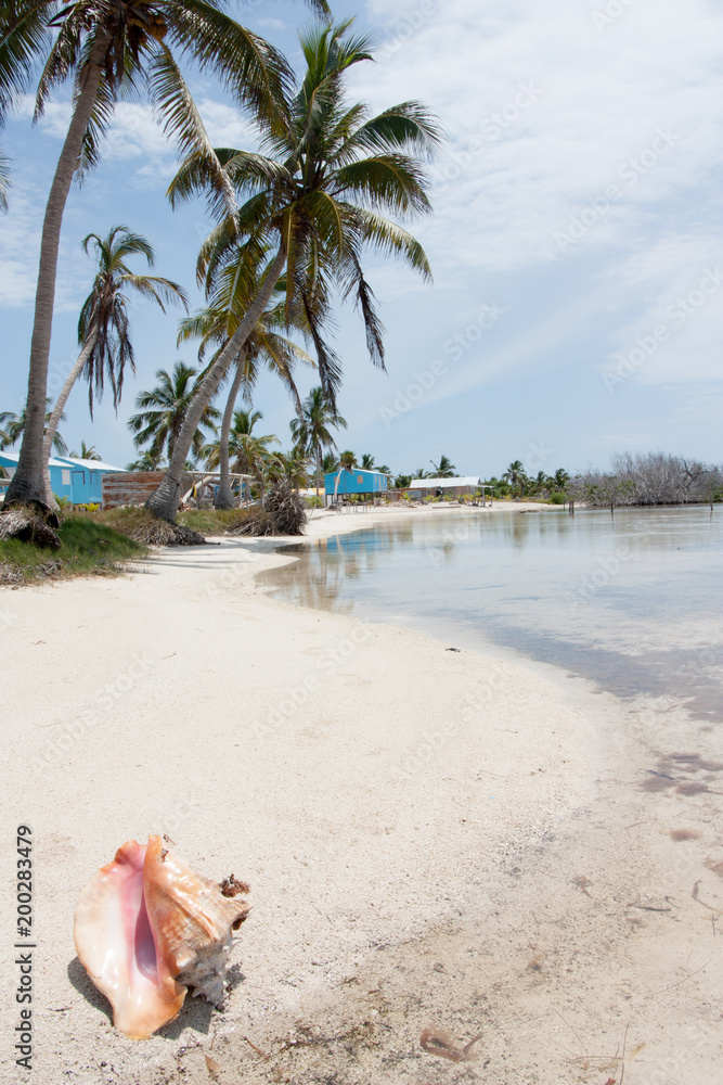 fishermen camp at chinchorro Banks, Mexico. fishermen camp at chinchorro Banks, Mexico.