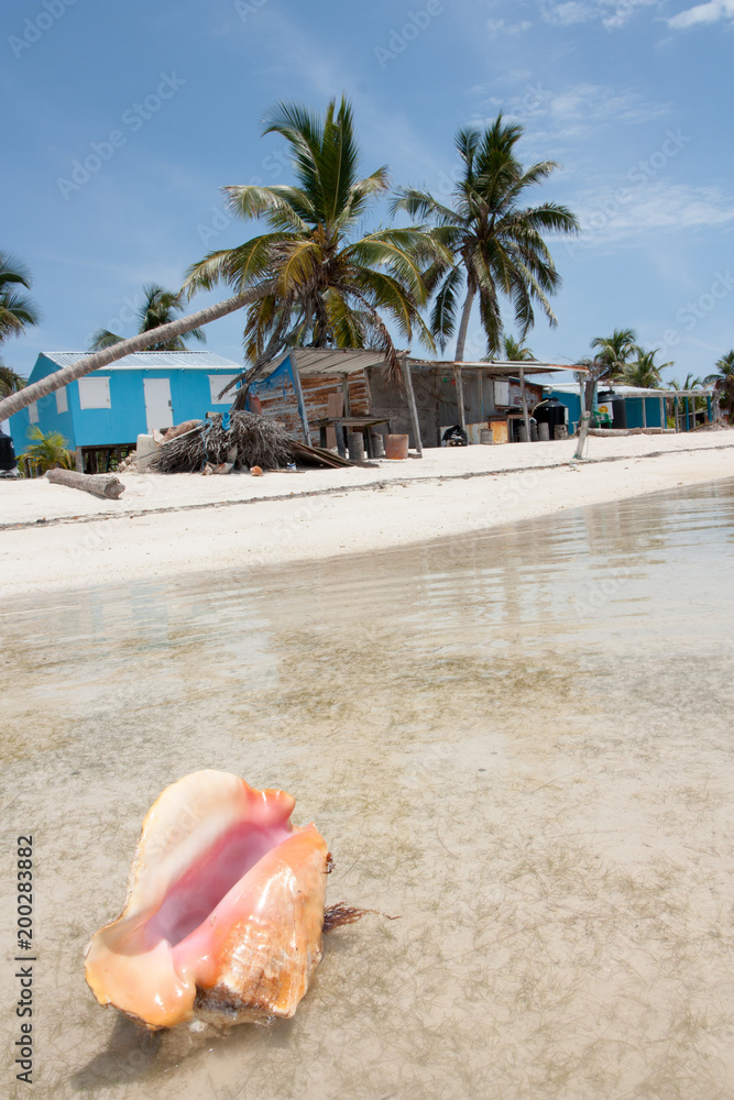 fishermen camp at chinchorro Banks, Mexico. fishermen camp at chinchorro Banks, Mexico.
