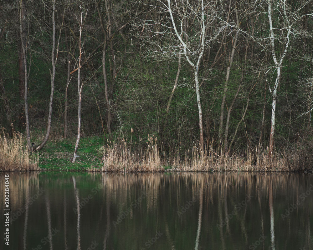 Obraz premium Beautiful lake and forest scenery, natural colours.