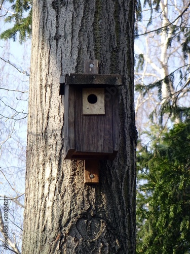 bird house on the tree