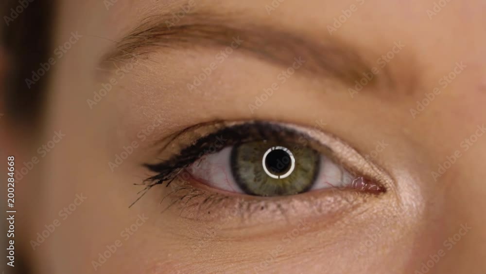 Macro Close-up eye blinking Macro Close-up eye blinking