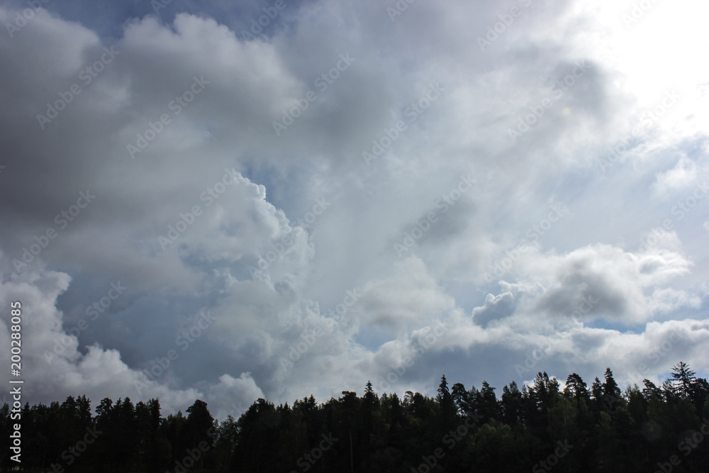 summer sky with a landscape of trees