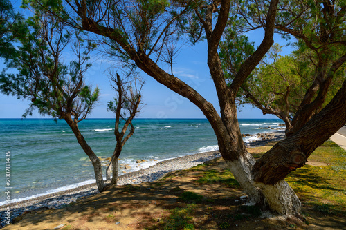 Fototapeta Naklejka Na Ścianę i Meble -  stony coast on Crete, Greece