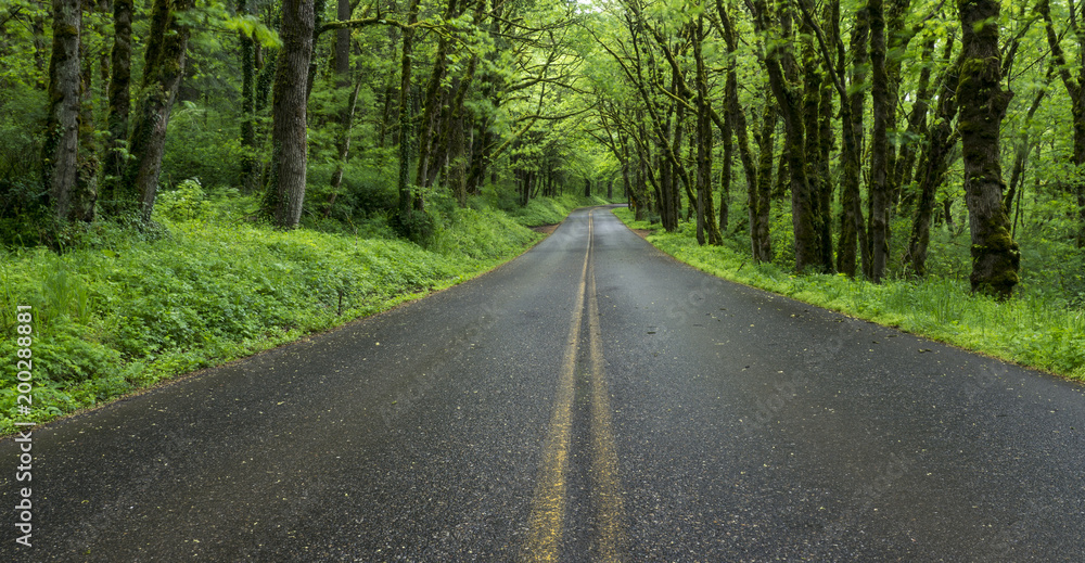 Fototapeta premium Columbia River Scenic Highway 2016