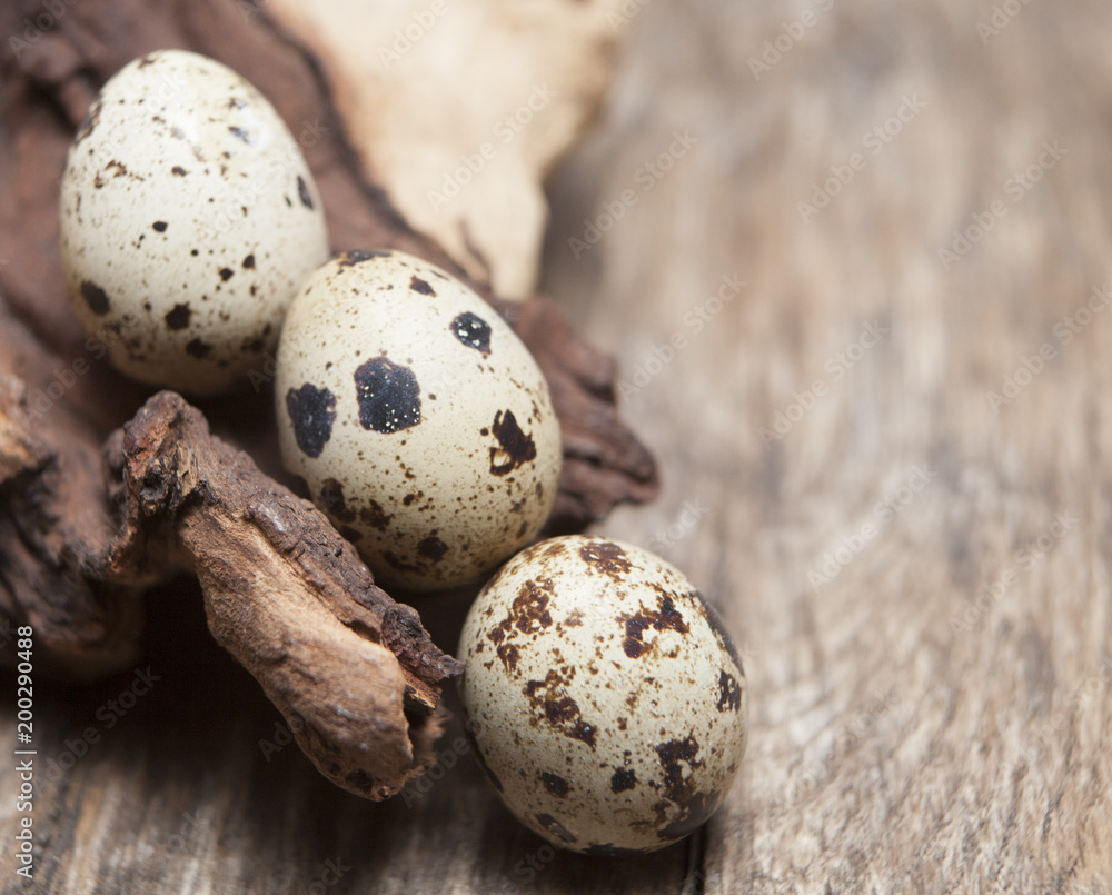 Fototapeta premium petits œufs de caille bio frais