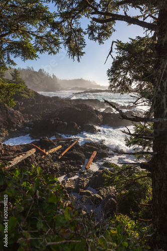 фотографія Pacific Ocean meets the wild coast of Vancouver Island, Canada.