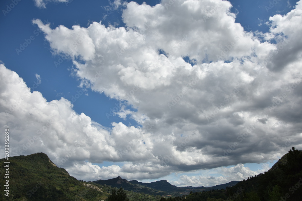 paesaggi   fiori e natura 