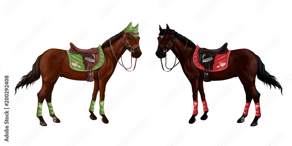 Fototapeta Set of horses of different suits in different ammunition for jumping - saddle, cap, bridle, halter, wagtrap, stamping. Riderless.