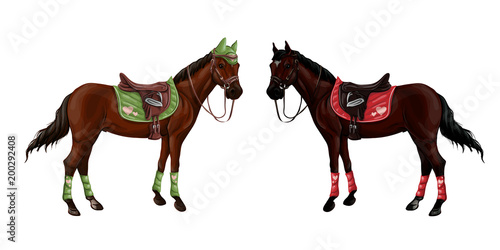 Set of horses of different suits in different ammunition for jumping - saddle, cap, bridle, halter, wagtrap, stamping. Riderless.