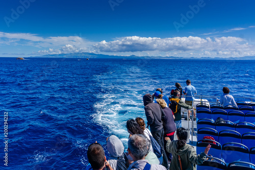 A group of tourists on a whale watching trip in the atlantic ocean. In Sao Miguel, Azores