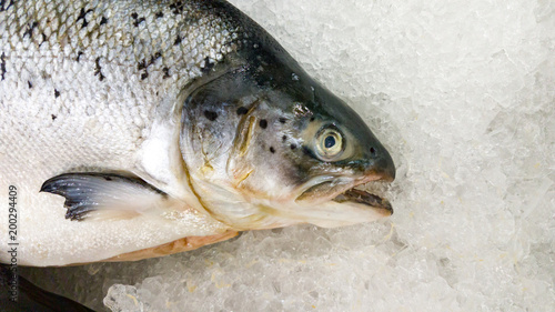 Fish for cooking lies in the store on ice