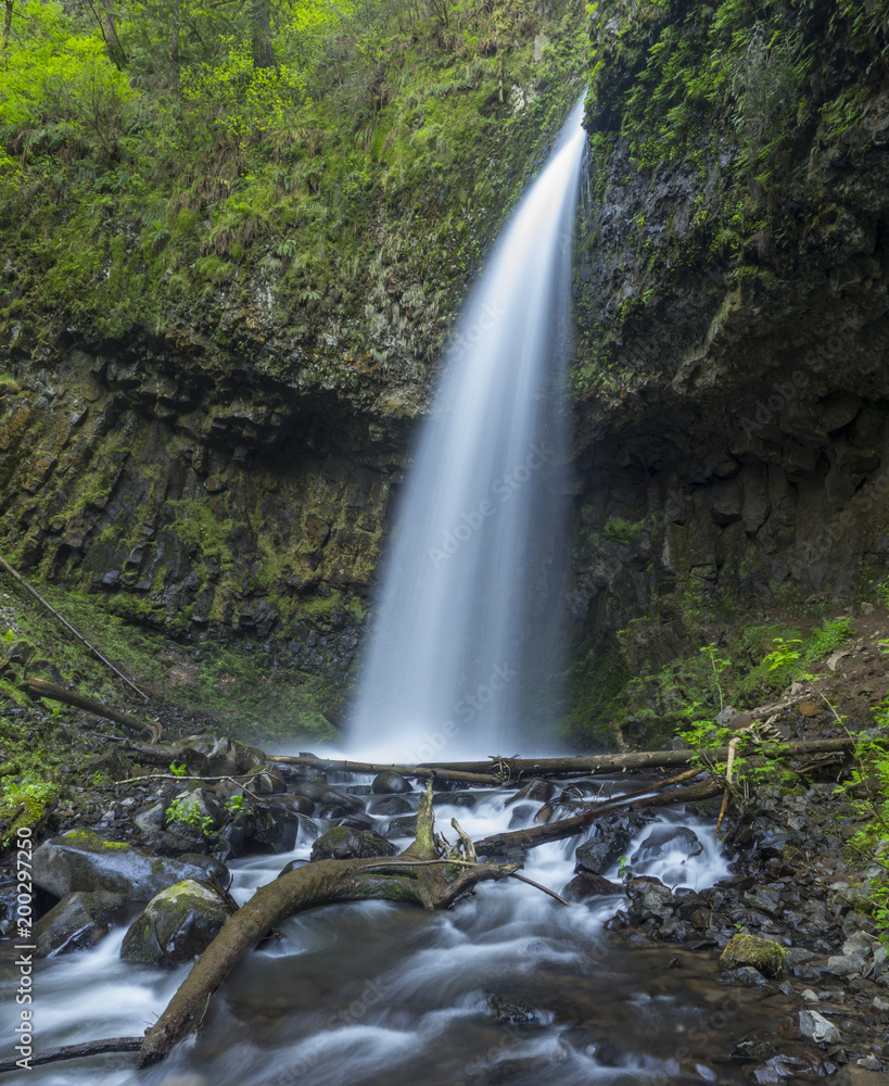 Obraz premium Upper Latourell Falls Columbia River Gorge