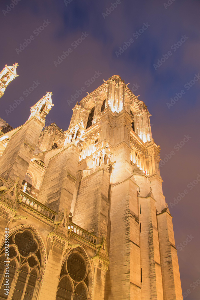  beautifully illuminated at night, impressive, decorated with antique ornaments of the Paris cathedral Notre Dame