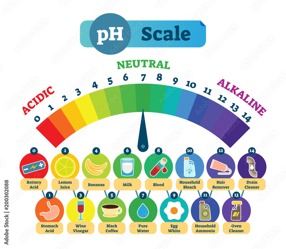 PH Acid Scale Vector Illustration Diagram with Acidic, Neutral and Alkaline examples.