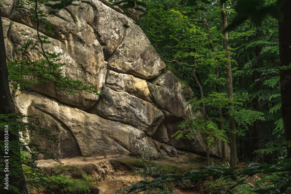 A cluster of huge relief boulders similar to a rock in the woods between trees. Photographed on a sunny day in the spring in the Ukrainian Carpathians A cluster of huge relief boulders similar to a rock in the woods between trees. Photographed on a sunny day in the spring in the Ukrainian Carpathians