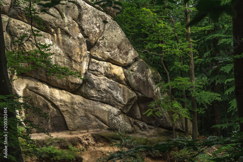 A cluster of huge relief boulders similar to a rock in the woods between trees. Photographed on a sunny day in the spring in the Ukrainian Carpathians