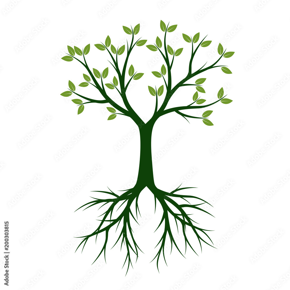 Shape of Green Tree. Vector Illustration. Shape of Green Tree. Vector Illustration.