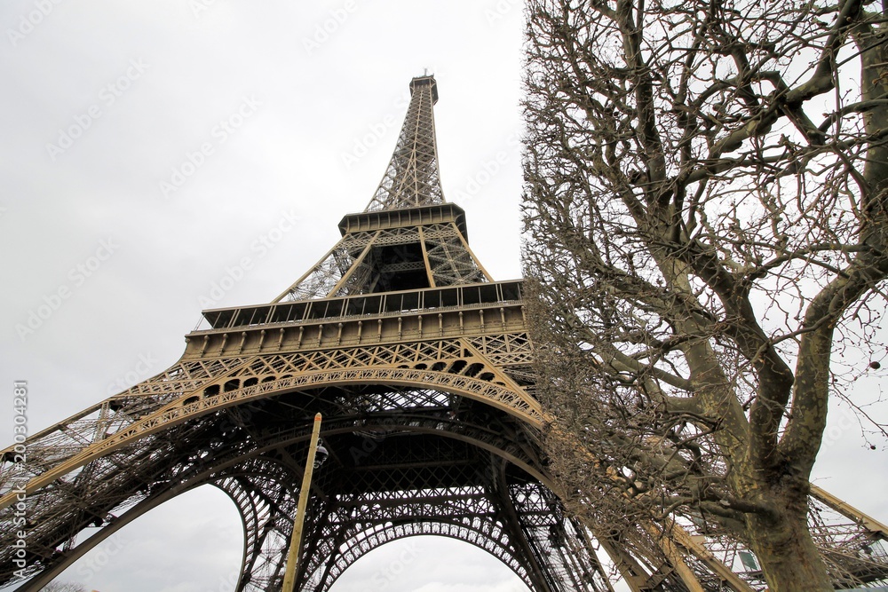 
Eiffel tower in Paris in France - obrazy, fototapety, plakaty 