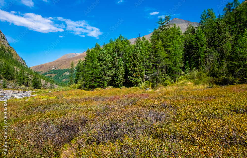 Mountain landscape. Mountain peaks in the republic of Altai. Mountain landscape. Mountain peaks in the republic of Altai.