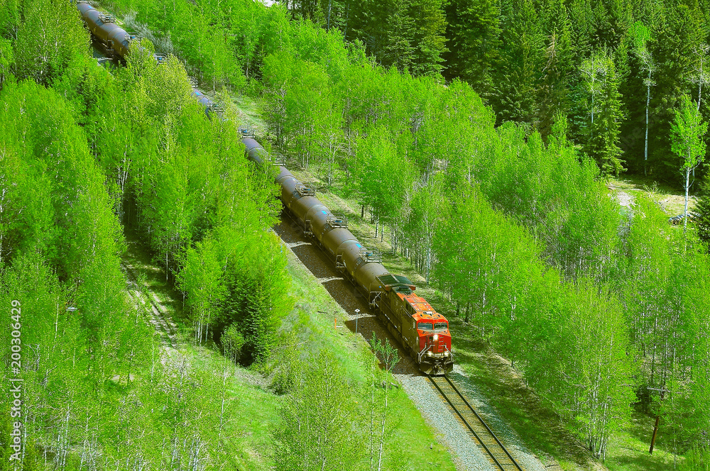 Obraz premium Pociąg towarowy przejeżdża przez Canadian Rockies.