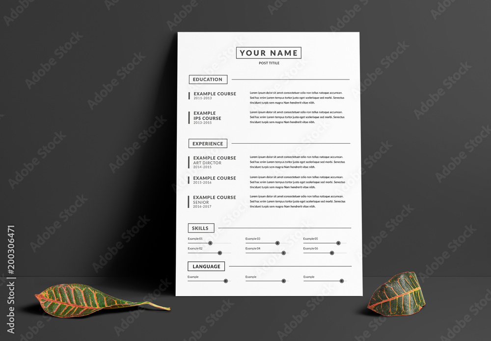 Grayscale Resume Layout Stock Template Adobe Stock