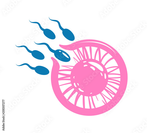 Oocyte fertilization, pregnancy, conception concept. Egg cell and spermatozoon, sperm. Vector illustration