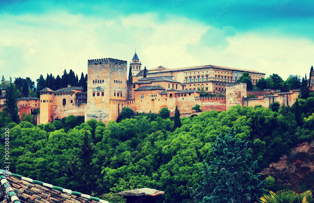  view of   Nazaries palaces of Alhambra.  Granada