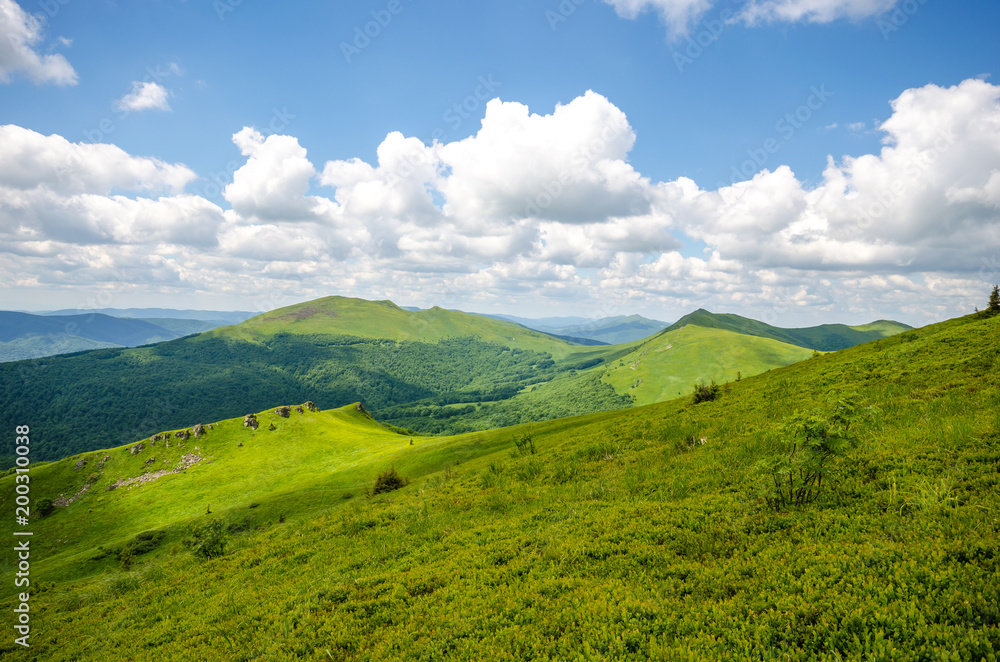 Obraz premium Wiosenne Bieszczady