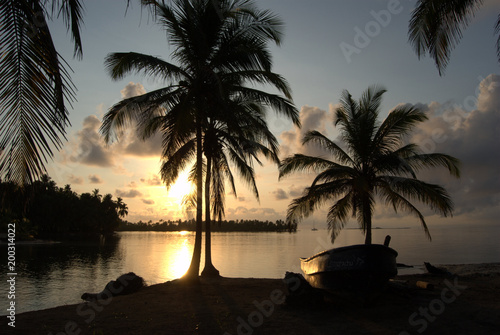 Isla con palmeras y aguas turquesa  en Sanblas  Guna Yala  Kuna Yala  Panam  . Paraiso tropical.