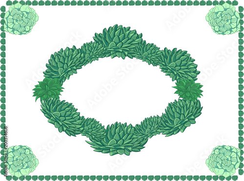 Frame echeveria oval  for text, photo