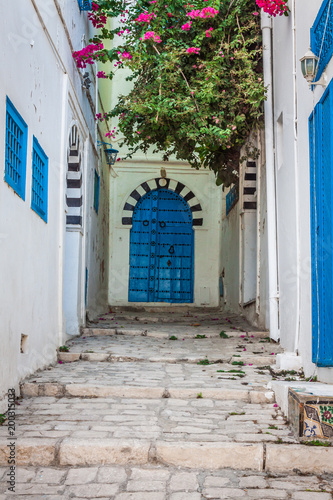 Sidi Bou Said - typical building with white walls, blue doors and windows, Tunisia © Lukasz Janyst