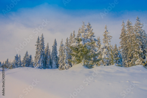 Beautiful outdoor view during winter in Bagnsasen region with trees covered with snow in the forest in Norway © Fotos 593