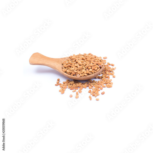 Thai herb name Trigonella foenum-graecum L. on wooden spoon isolated on white background. Thai herb medicine concept.