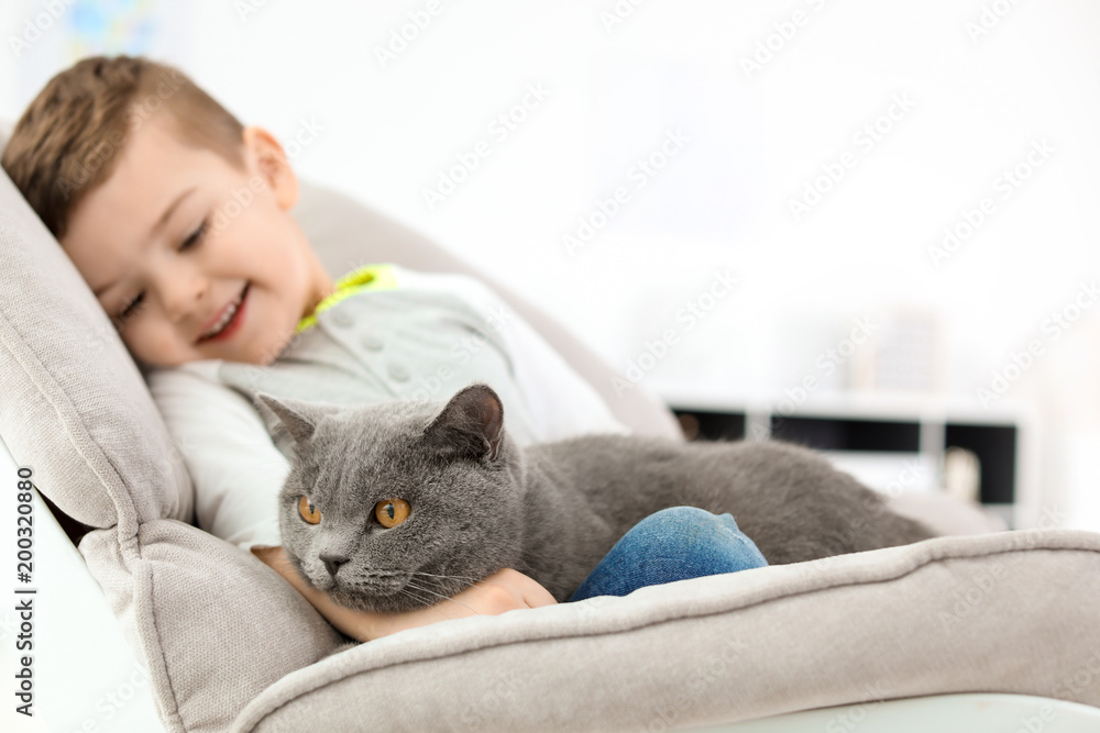 Cute cat with little child at home Cute cat with little child at home