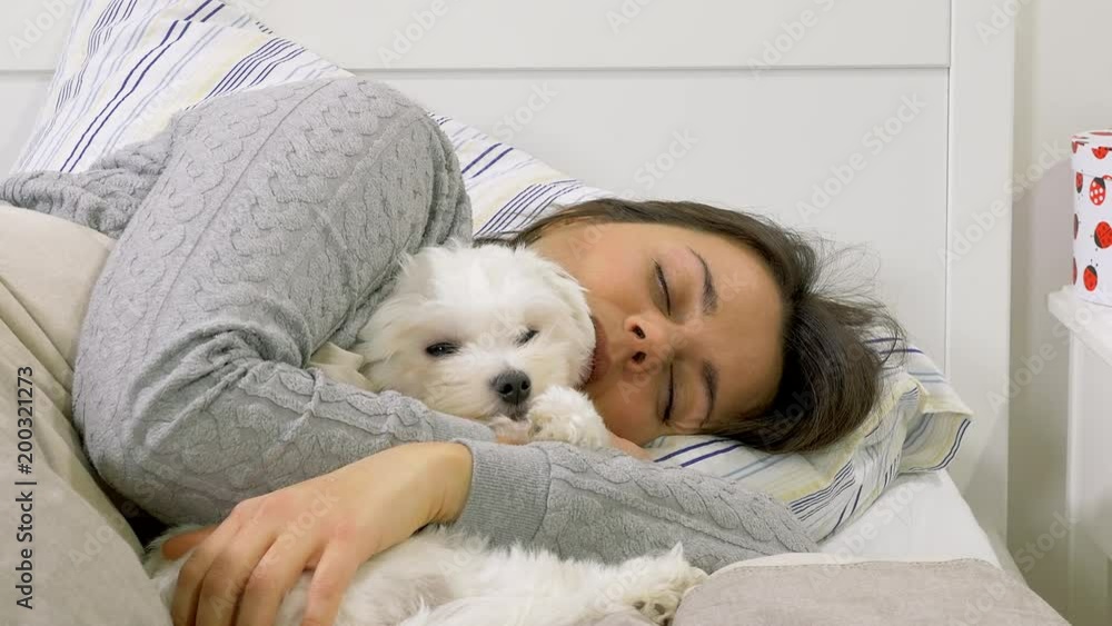 Woman sleeping in the morning hugging little puppy dog in bed closeup Woman sleeping in the morning hugging little puppy dog in bed closeup