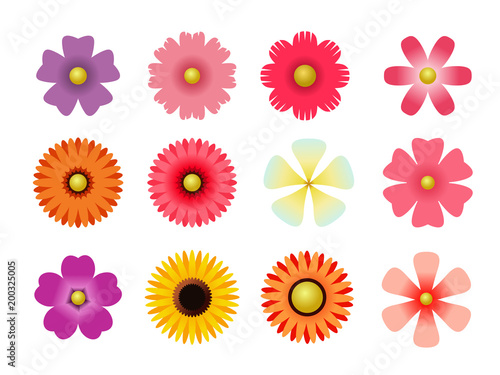 Set of flat icon flower icons in silhouette isolated on white. for stickers, labels, tags, gift wrapping paper.