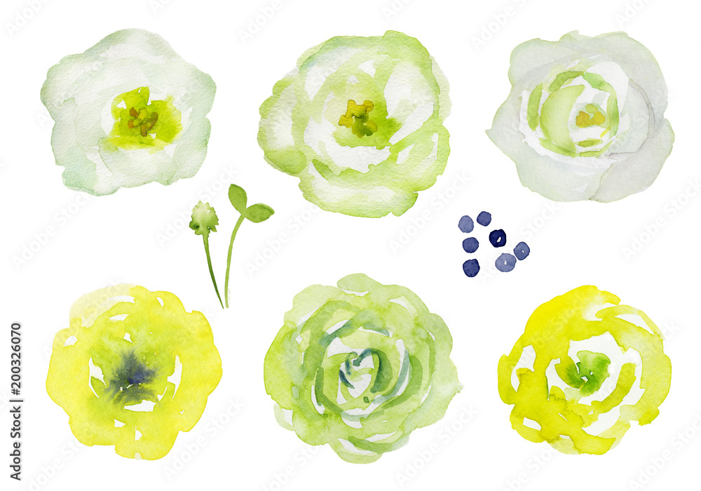 黄色と白の花のセット 水彩イラスト Stock イラスト Adobe Stock