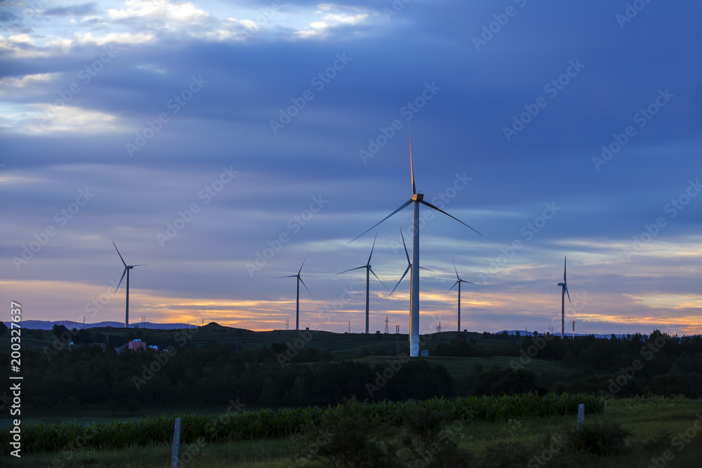 Fototapeta premium Wind turbines in the evening