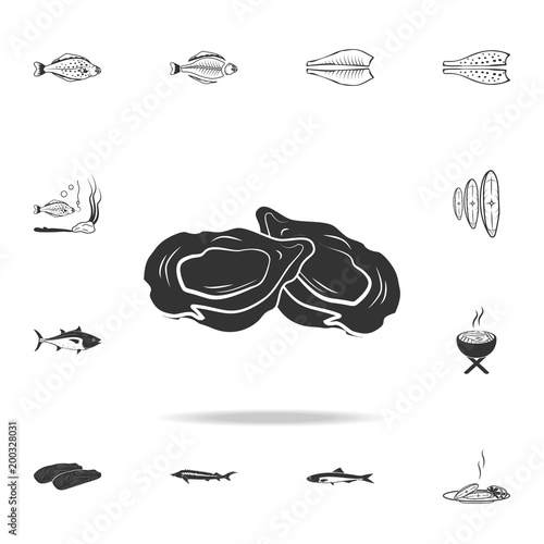 molluscs icon. Detailed set of fish illustrations. Premium quality graphic design icon. One of the collection icons for websites  web design  mobile app
