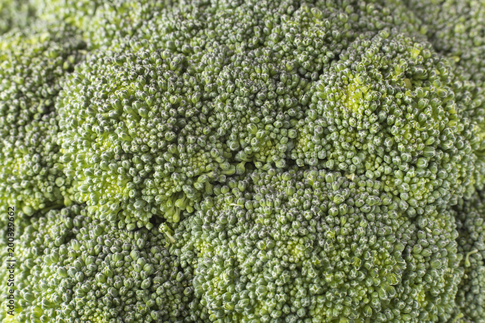 broccoli texture close up, Brassica oleracea broccoli texture close up, Brassica oleracea