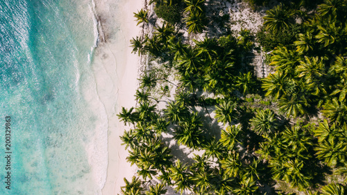 Left ocean and right palms. Middle beach © kumantsova